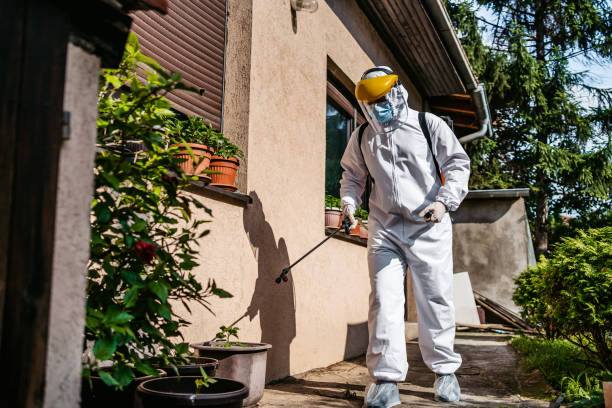 Best Affordable Pest Control Services  in East Hazel Crest, IL