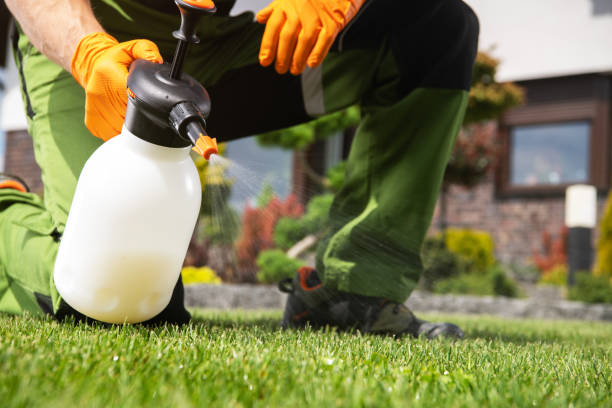 Best Best Pest Control Companies  in East Hazel Crest, IL