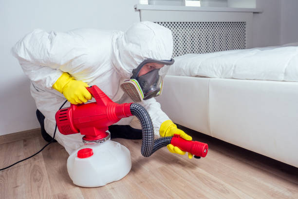 Best Pest Inspection Near Me  in East Hazel Crest, IL