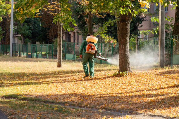 Best Mosquito Control Services  in East Hazel Crest, IL